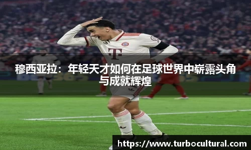 平博官网